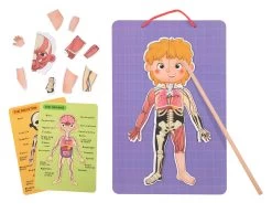 Tooky Toy Magnetic Body Chart