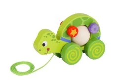 Pull Along Turtle