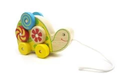 Pull-A-L Spin Pattern Turtle